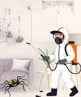 Professional ant control service