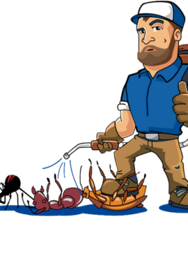 Pest management solution